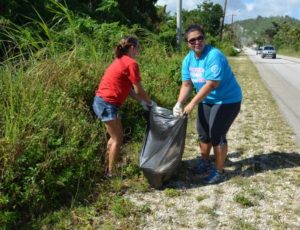 Island wide cleanup 201618